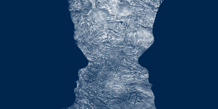 Vernissage-Fibissage